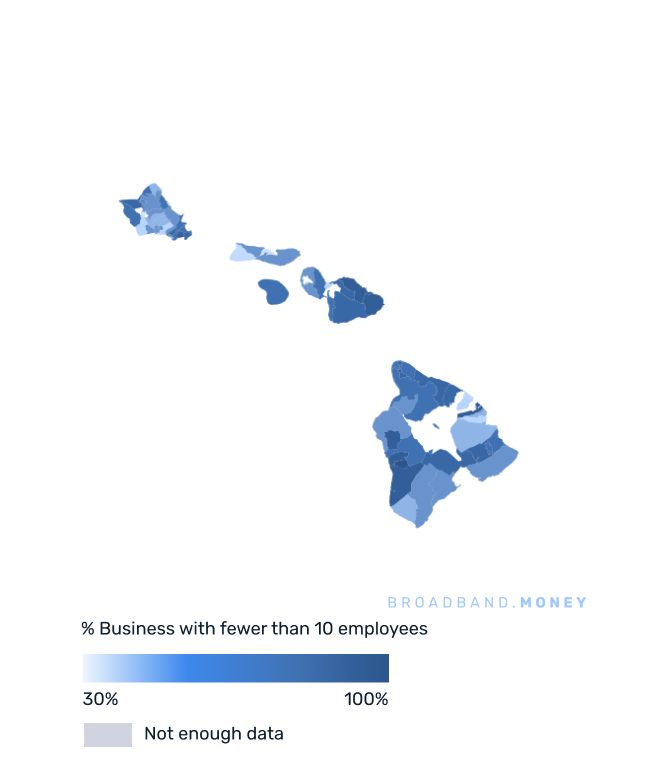 Hawaii broadband investment map small business establishments 