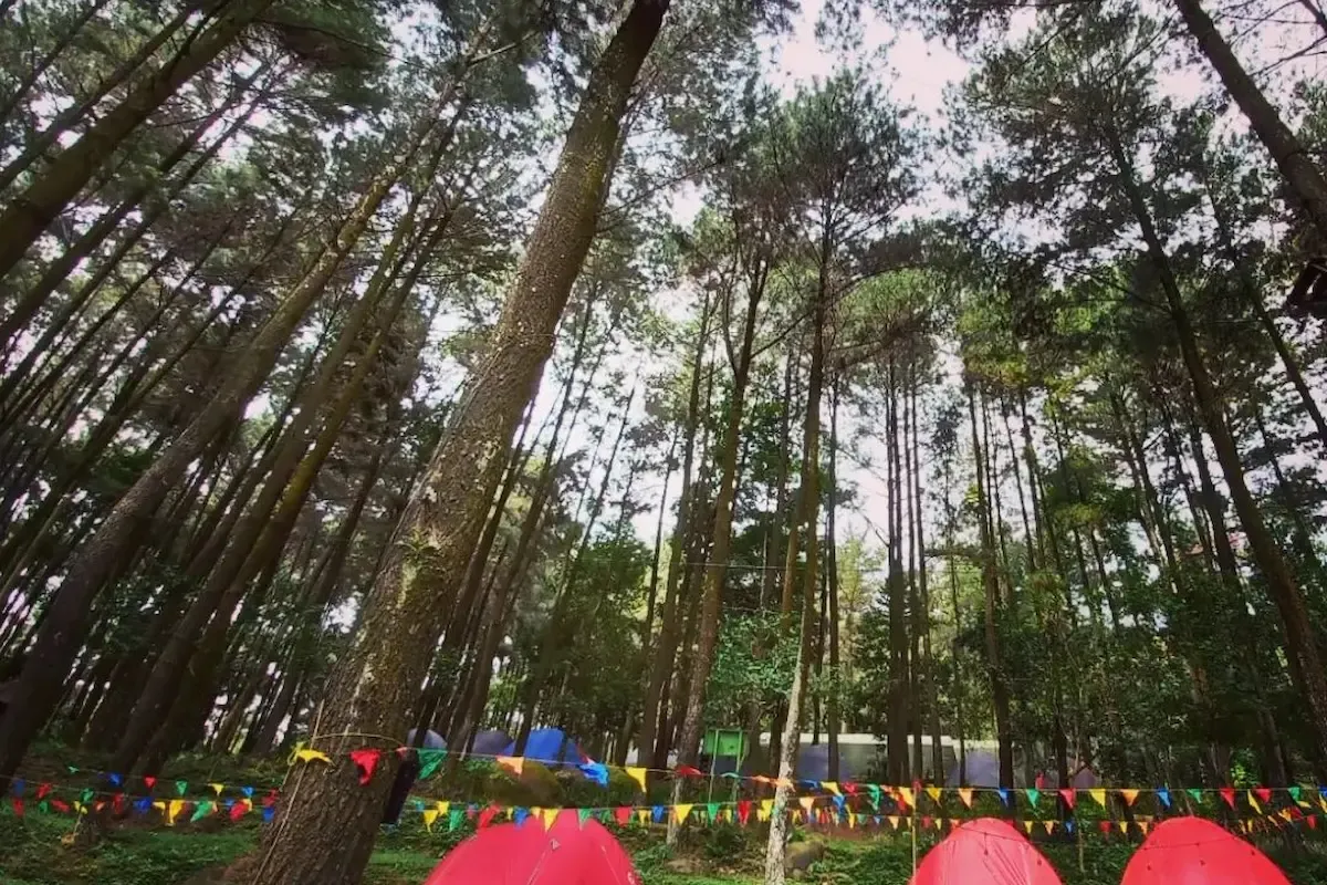 Hutan Pinus Sentul