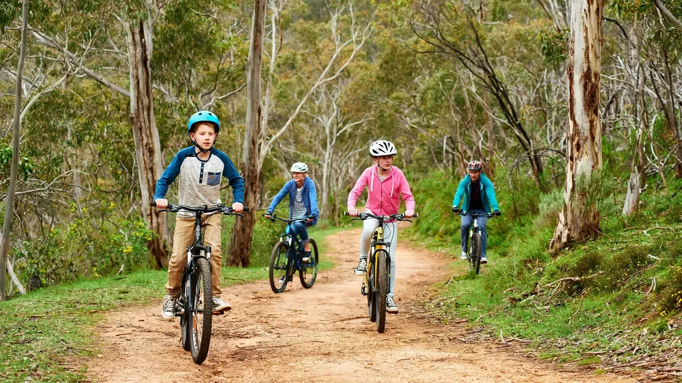 adelaide hills
