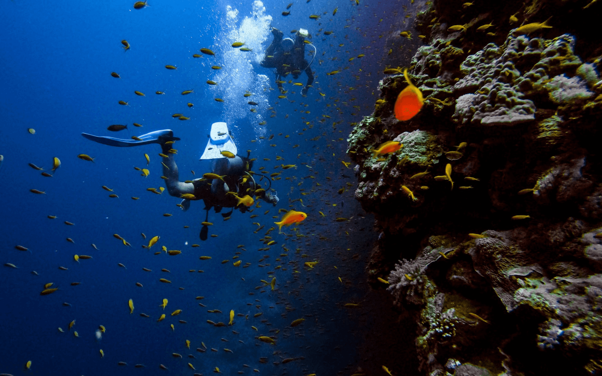 A World-Class Scuba Diving Destination