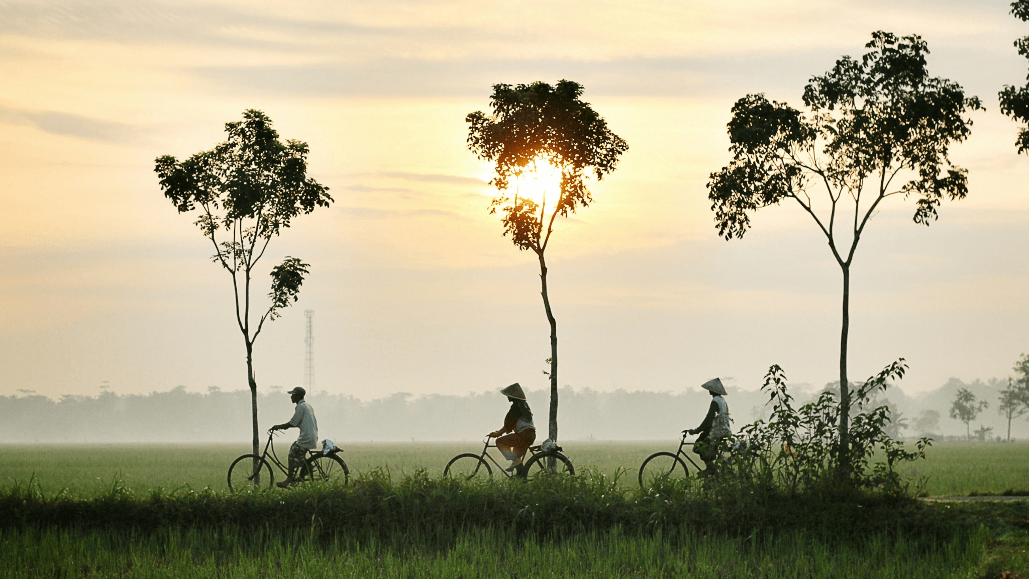 Dry Season-Rainy Season-petani-saawah-sepedah 