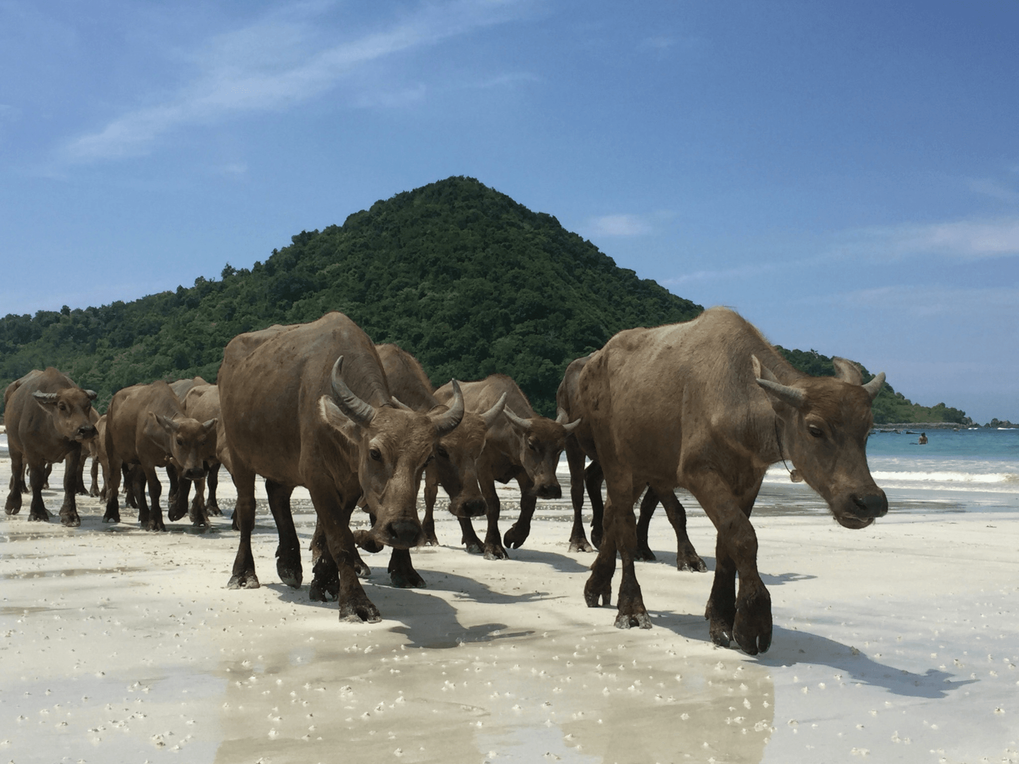 Visit Selong Belanak Beach