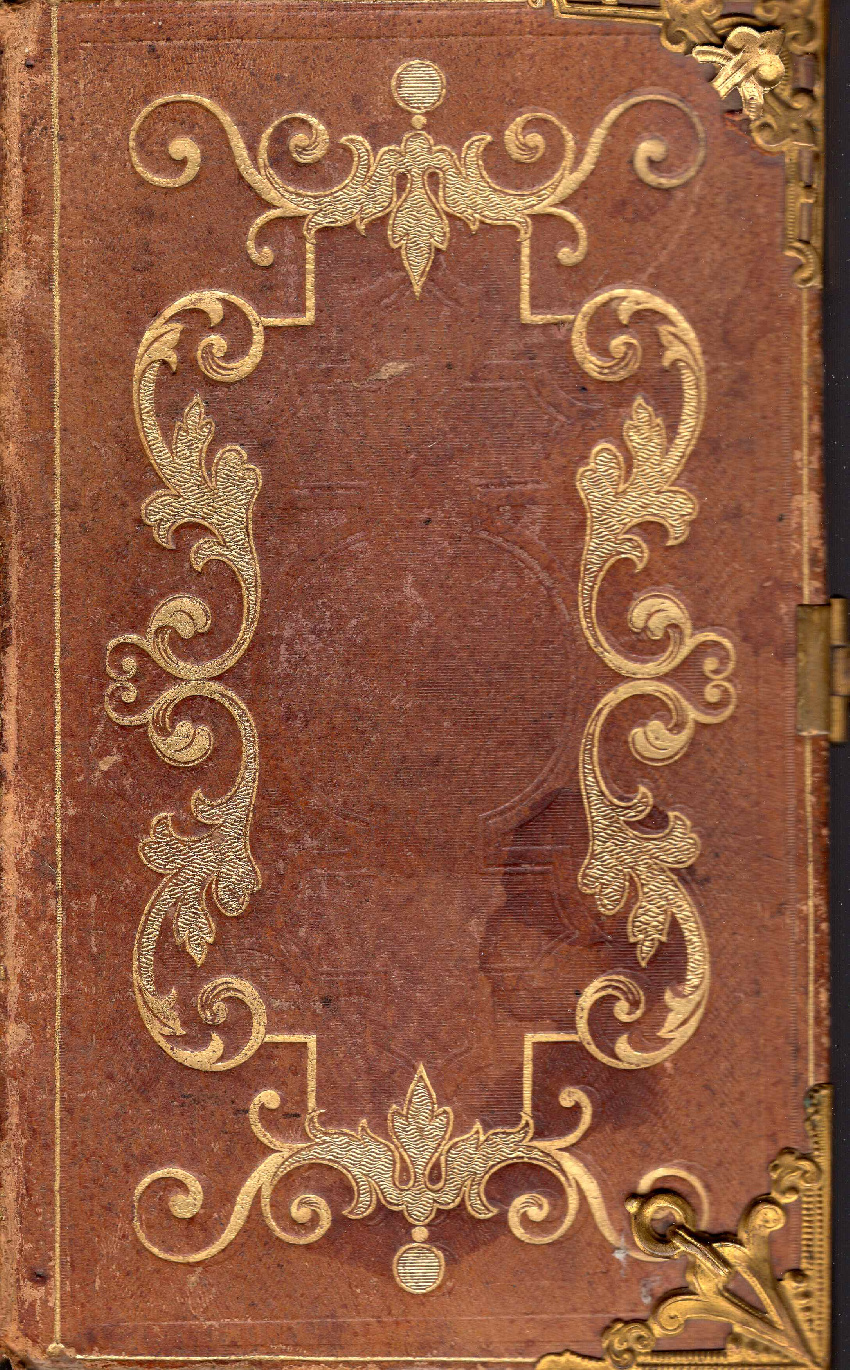 France et Italie au miroir des lumieres : Condorcet 1794-1994 : Des Academies aux Instituts: modele francais et experiences italiennes (1796-1799)