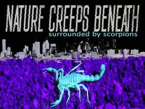 Surrounded By Scorpions