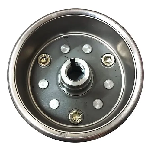 magneto-para-motocicleta-alpina-300-alessia-2