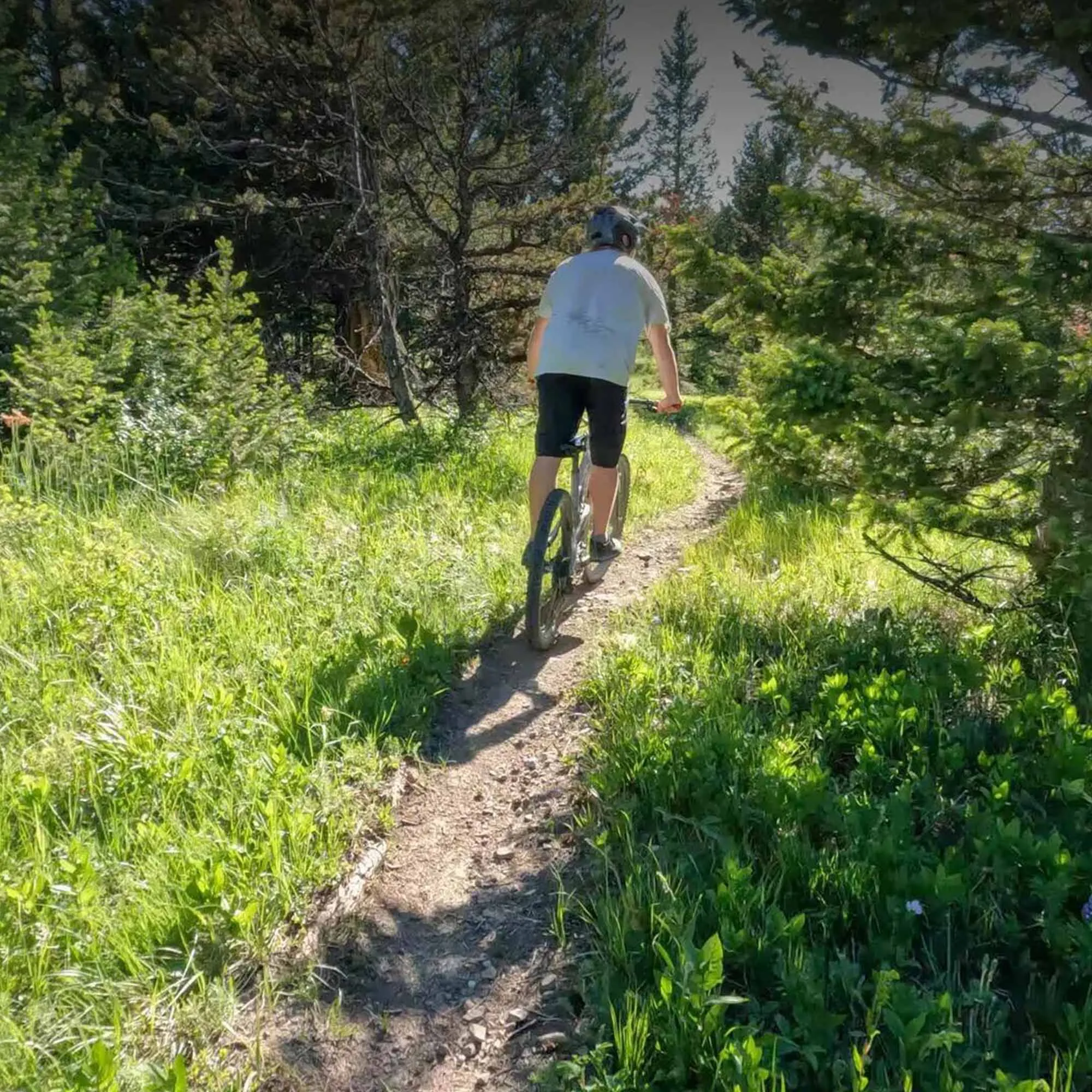 llanta-para-bicicleta-29-x-260-wild-michelin-3