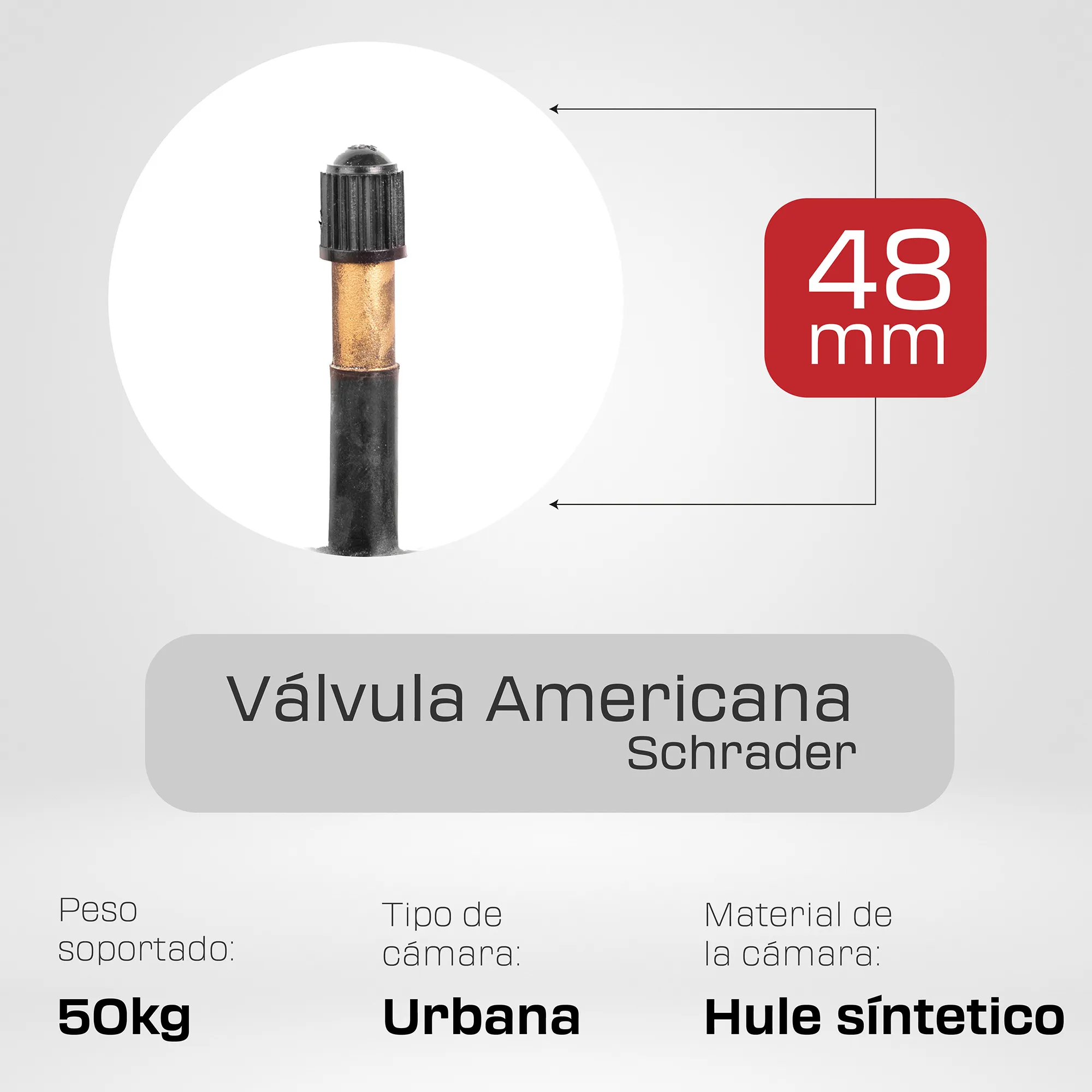 camara-para-bicicleta-24-x-2125-valvula-americana-larga-de-48mm-kenda-2