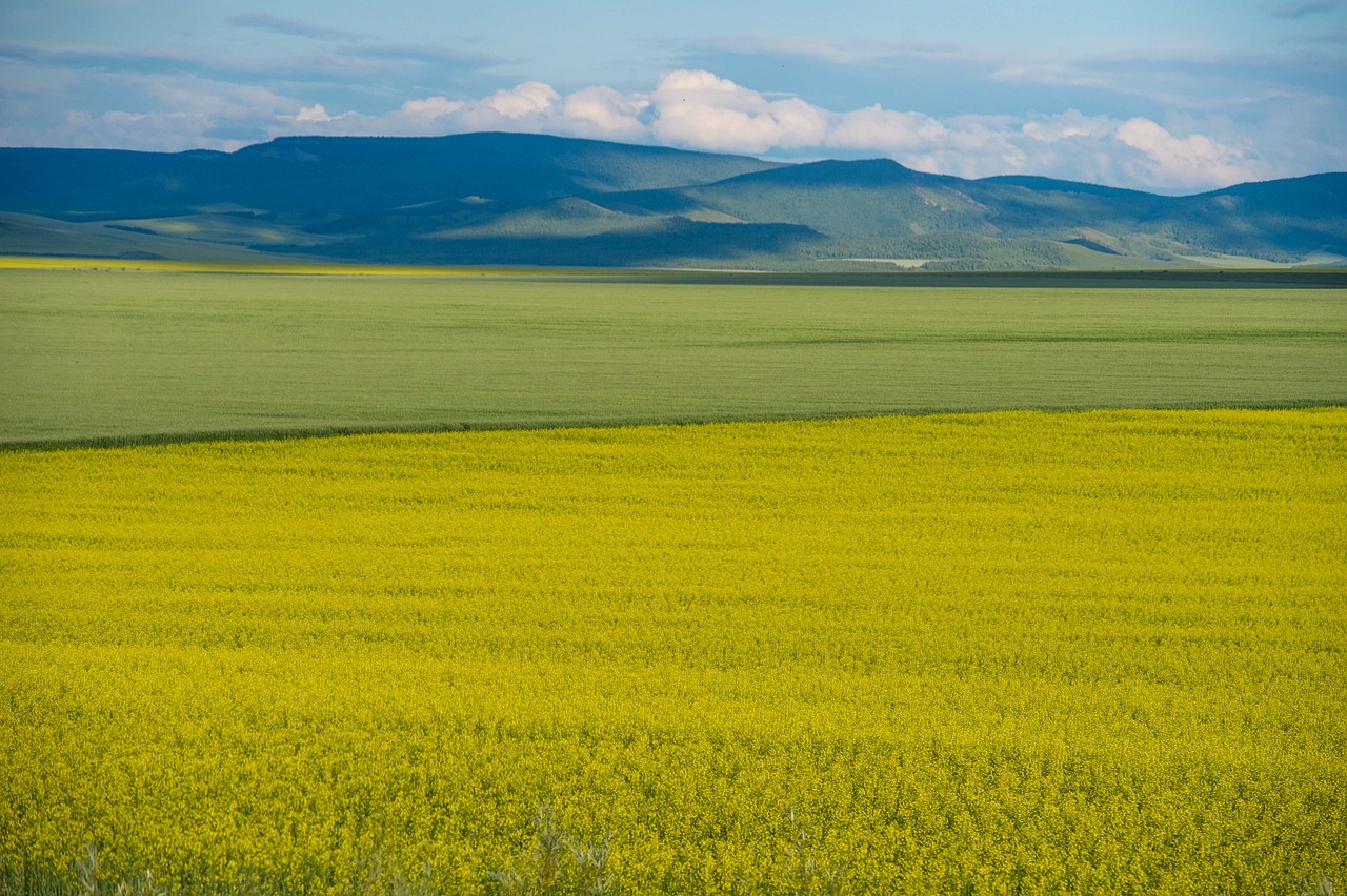 5 Days Exploring Inner Mongolia Grassland