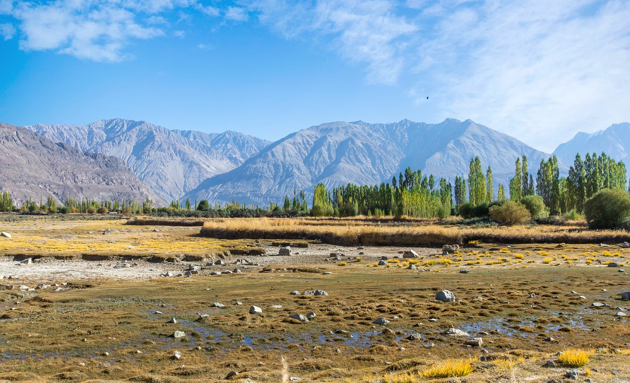 5-Day Adventure in Jammu and Kashmir