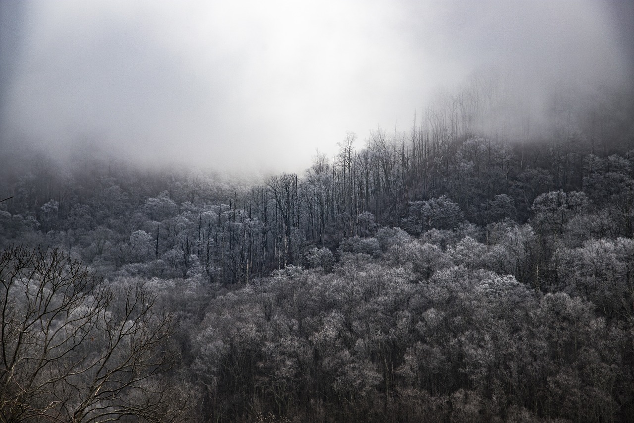 Romantic Weekend in Smokey Mountains 2 days