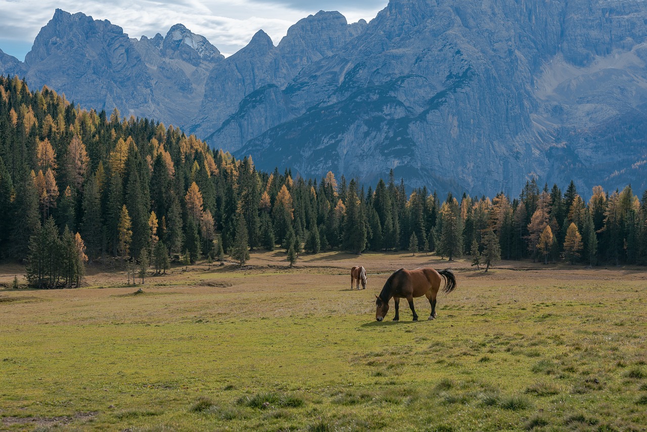 5-Day Journey Through Dolomites Venice Milan