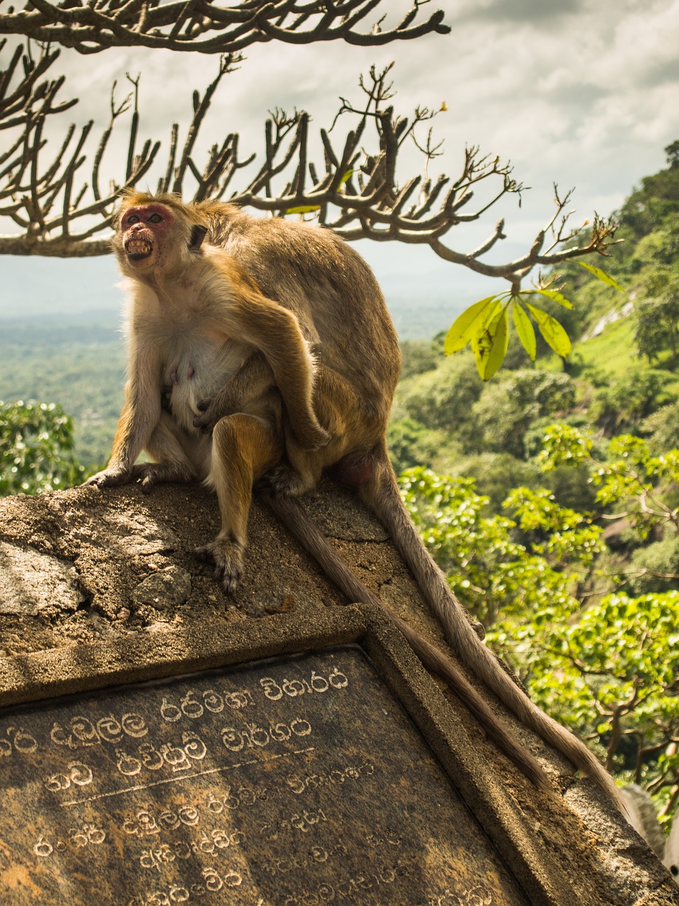 Dambulla Adventure 2 days