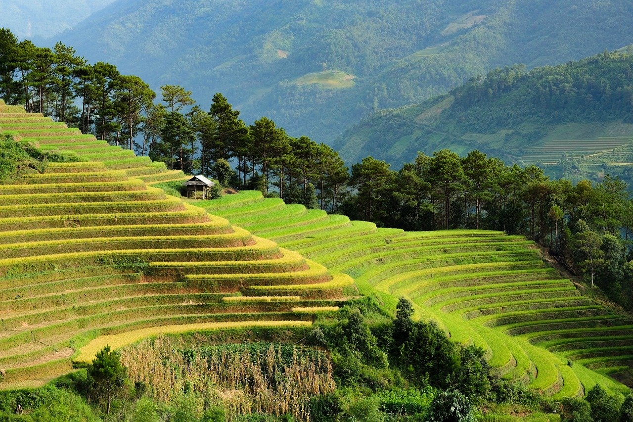 Vietnam Adventure with Cruise 5 Days