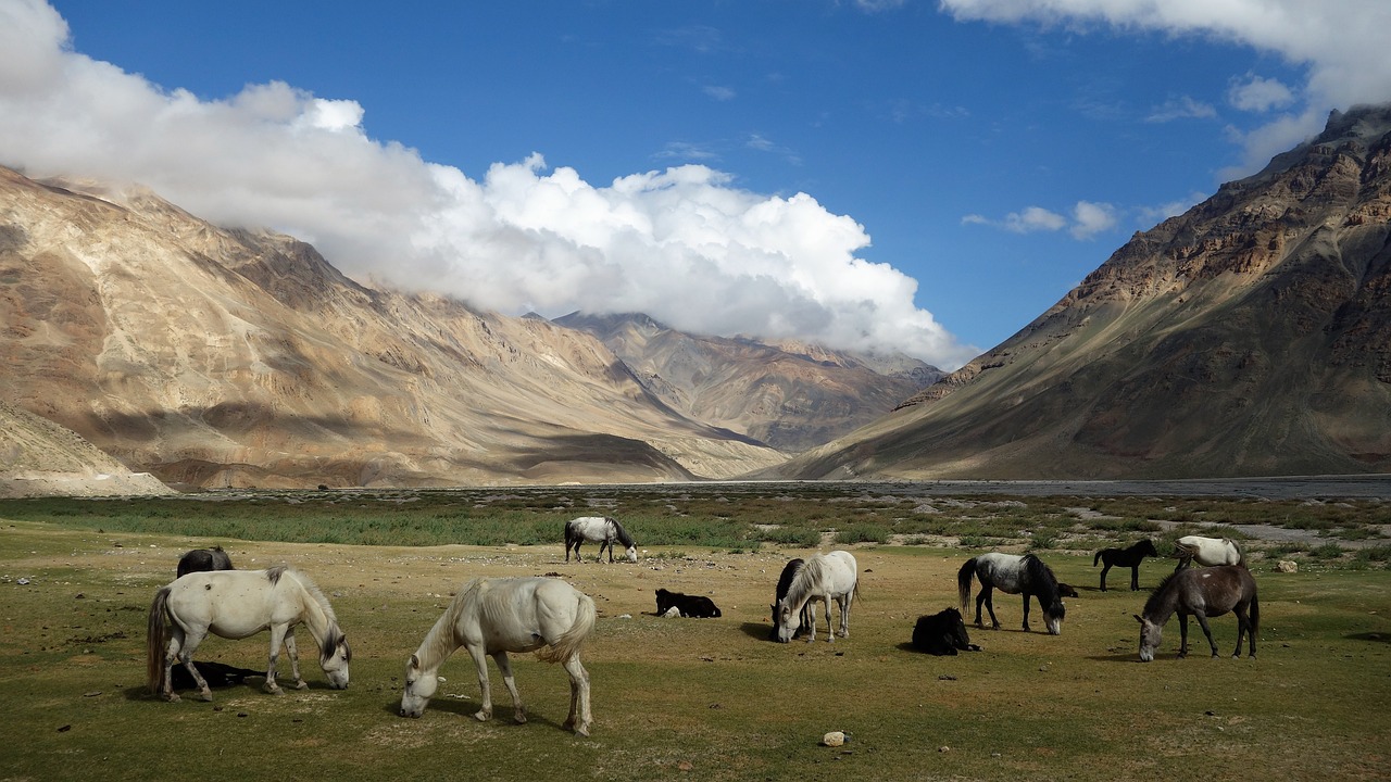 7 Days in Spiti Adventure