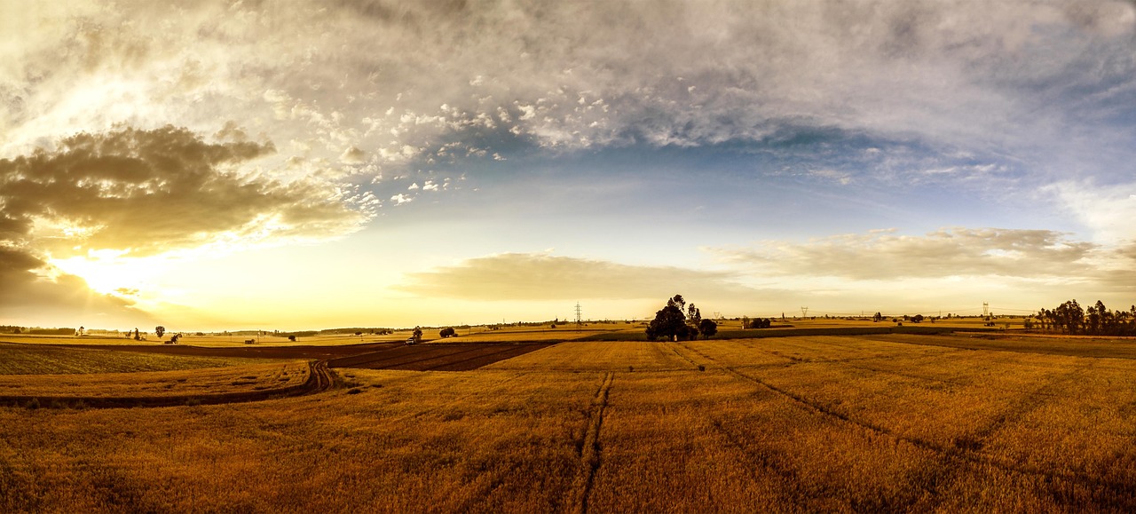 1 Day in Punjab Pakistan