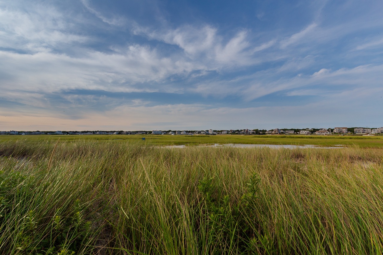 5 Days of Historical Exploration in Chatham