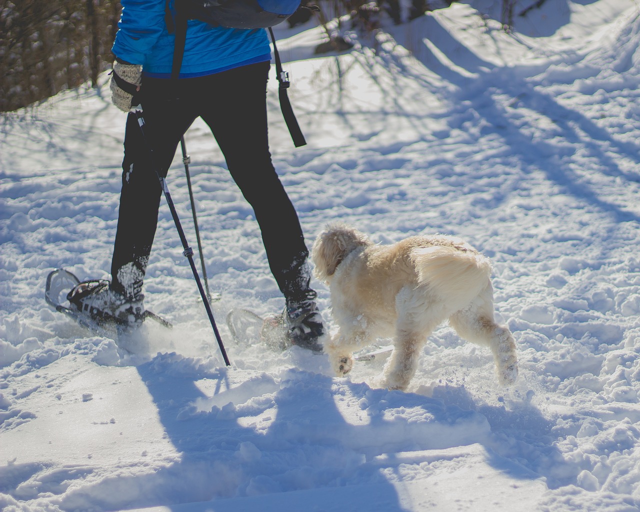 Snowshoe Mountain Adventure 5 Days