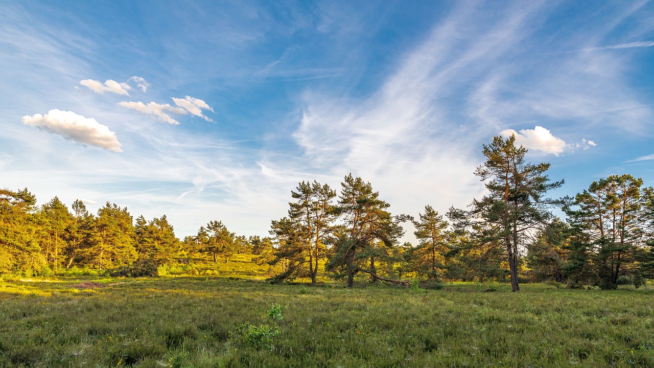 5 Days of Exploring Heide Germany