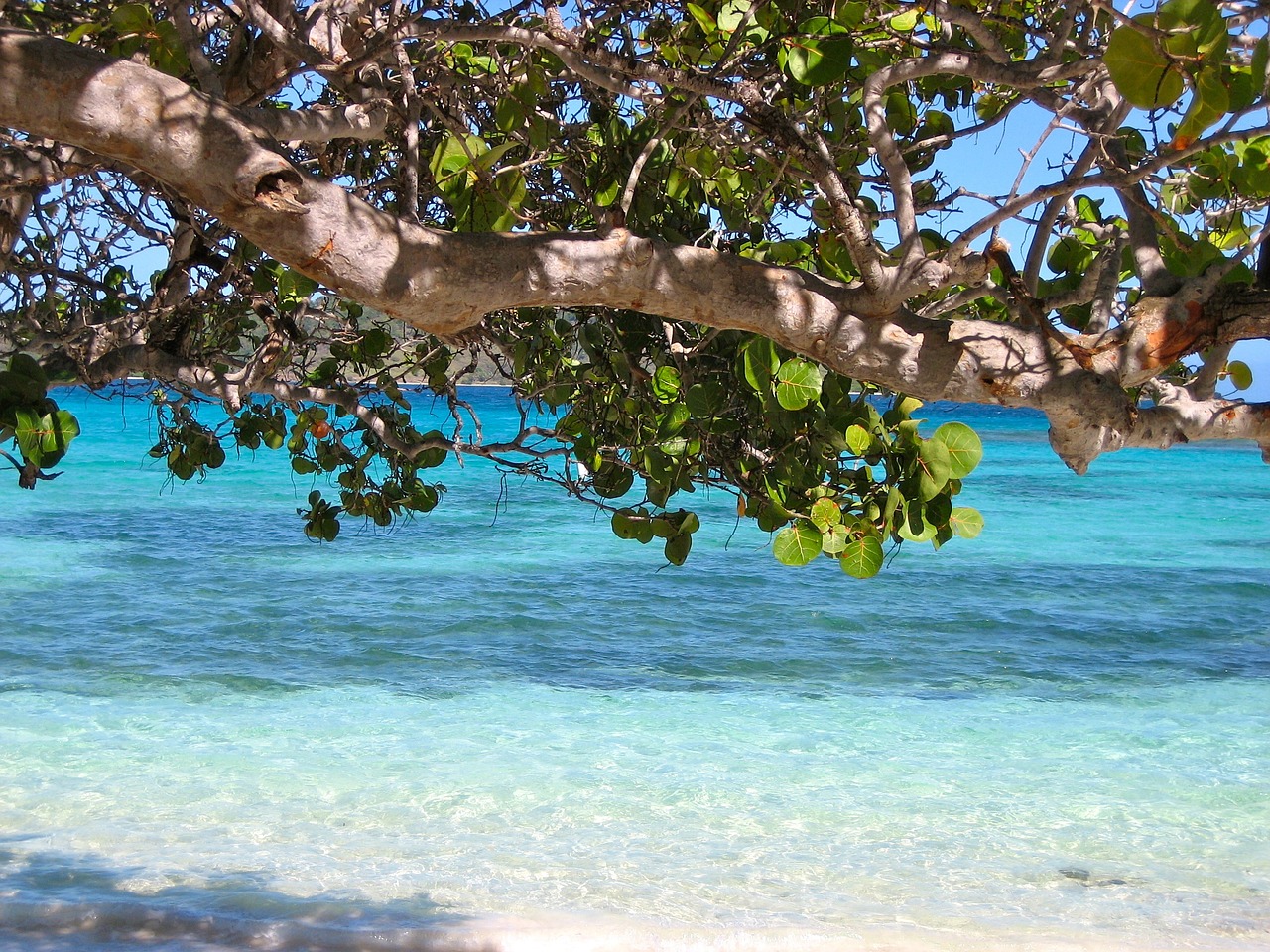 Barbados Adventure: 14 Days of Island Bliss