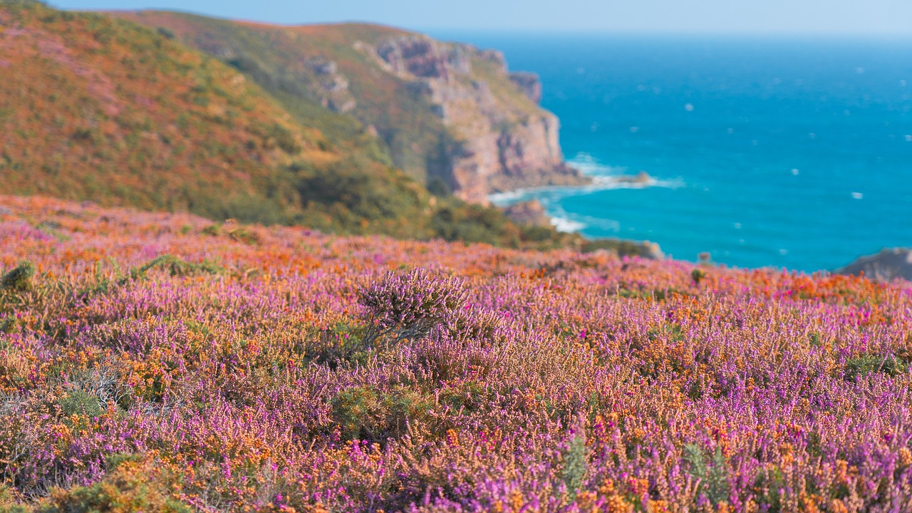 5 Days of Enchantment in Cap Fréhel