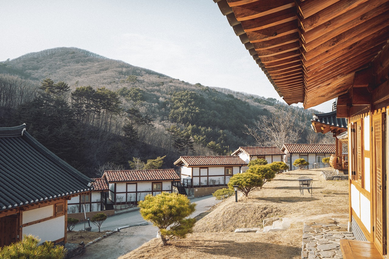 6-Day Adventure in Korea