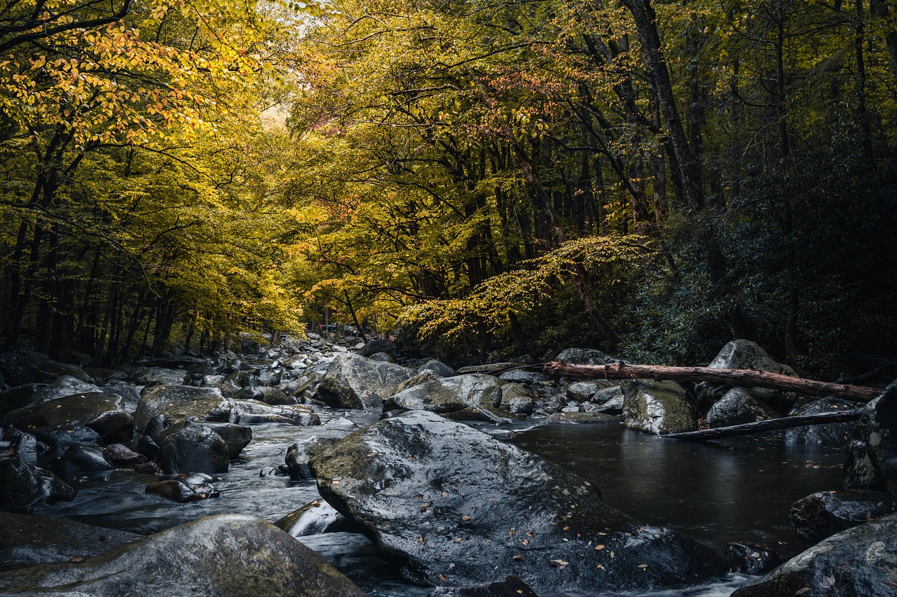 5-Day Adventure in Cache Creek