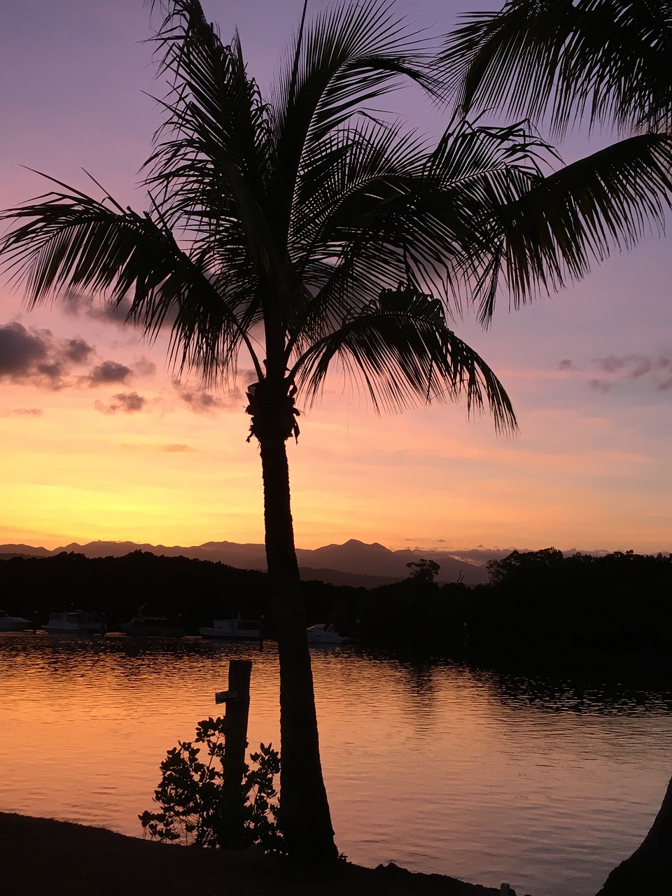 1 Day Adventure in Port Douglas