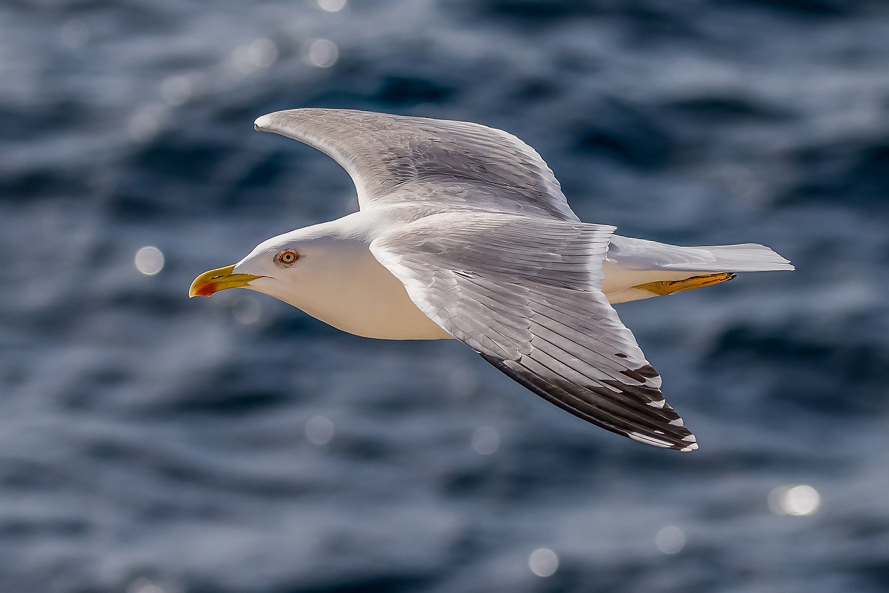 Gull Bay Adventure 1 Day