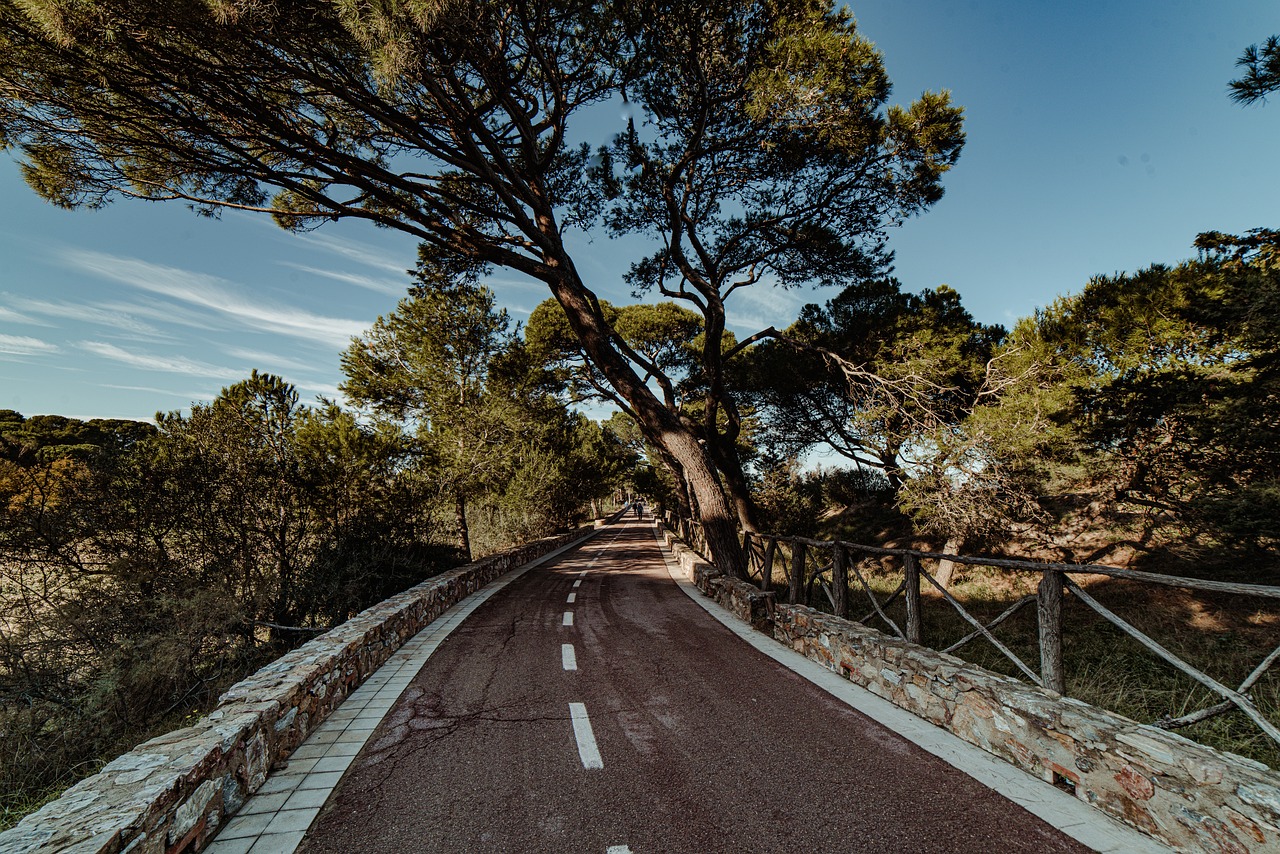 1-Day Adventure in Sant Martí Sarroca