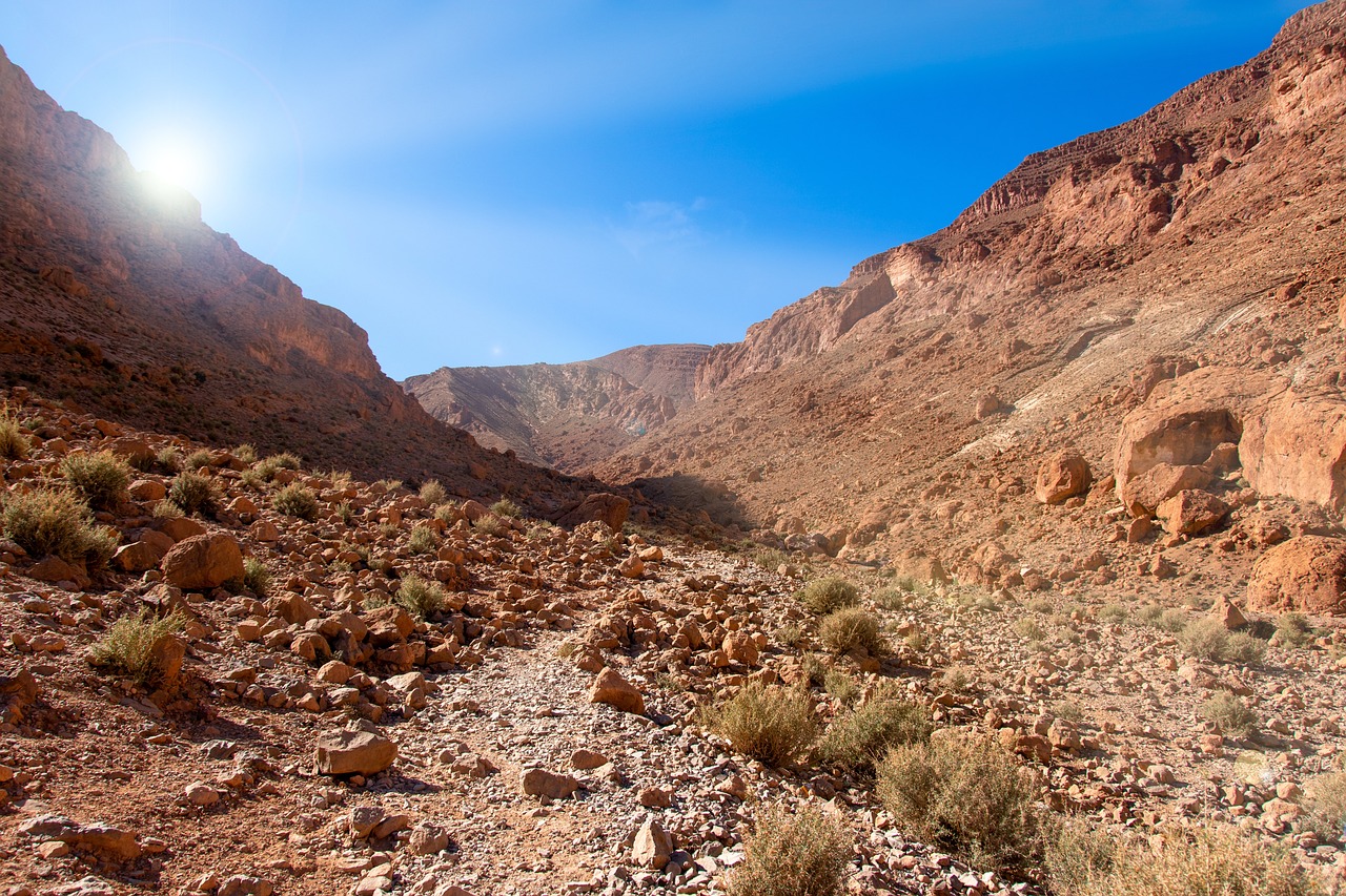 1-Day Adventure in Todra Gorge