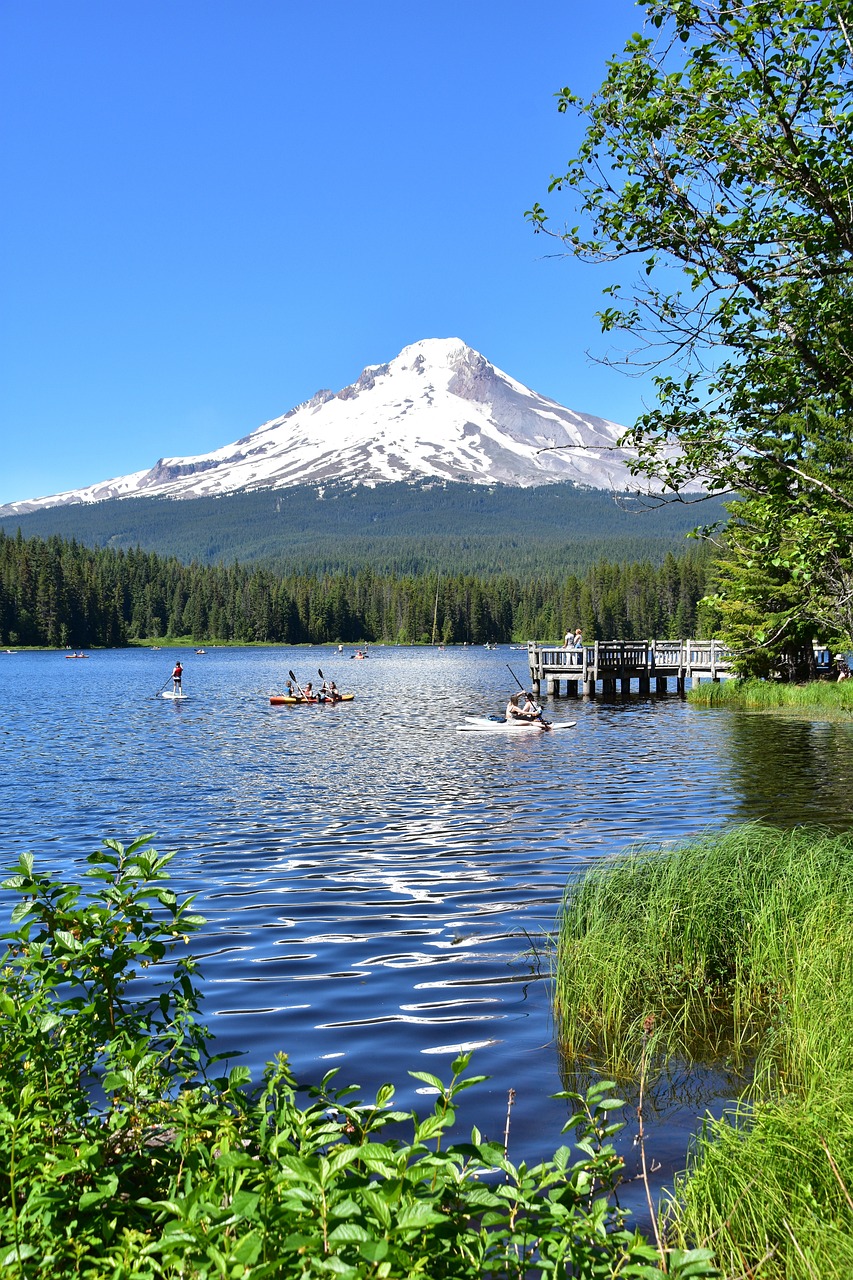 1-Day Adventure in Trillium