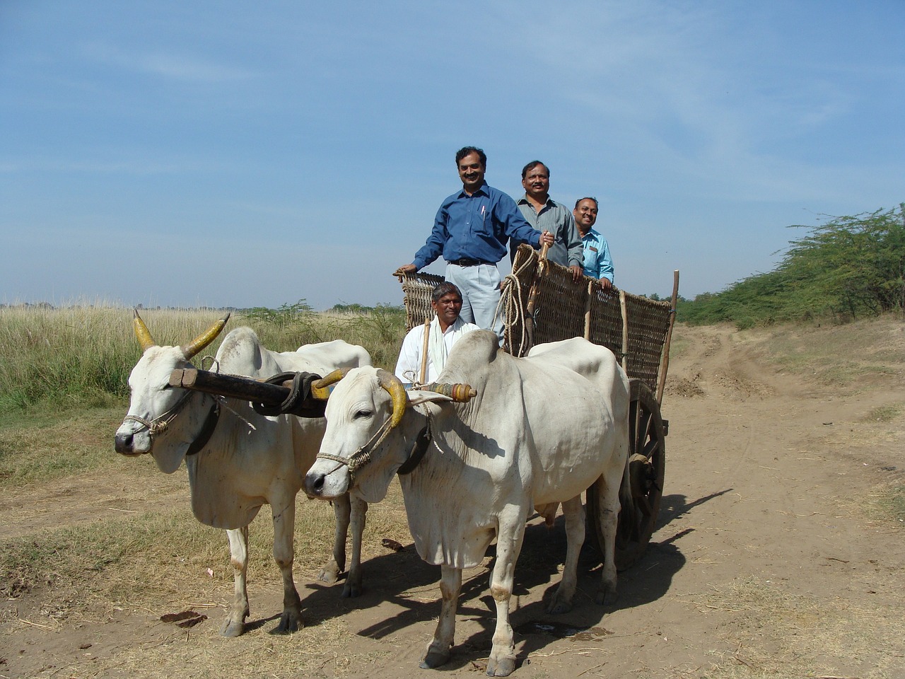 10-Day Adventure in Raichur