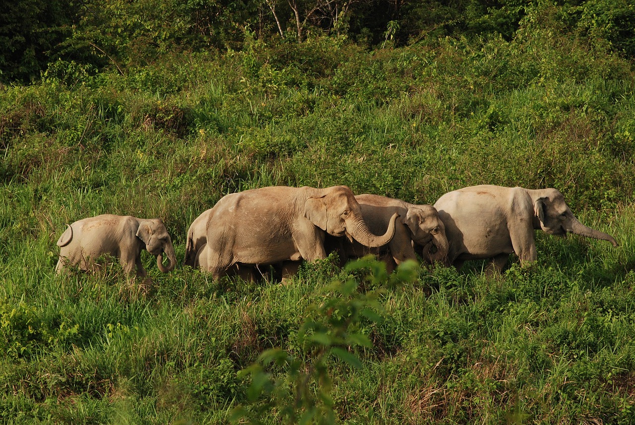 Buri Adventure - 1 Day