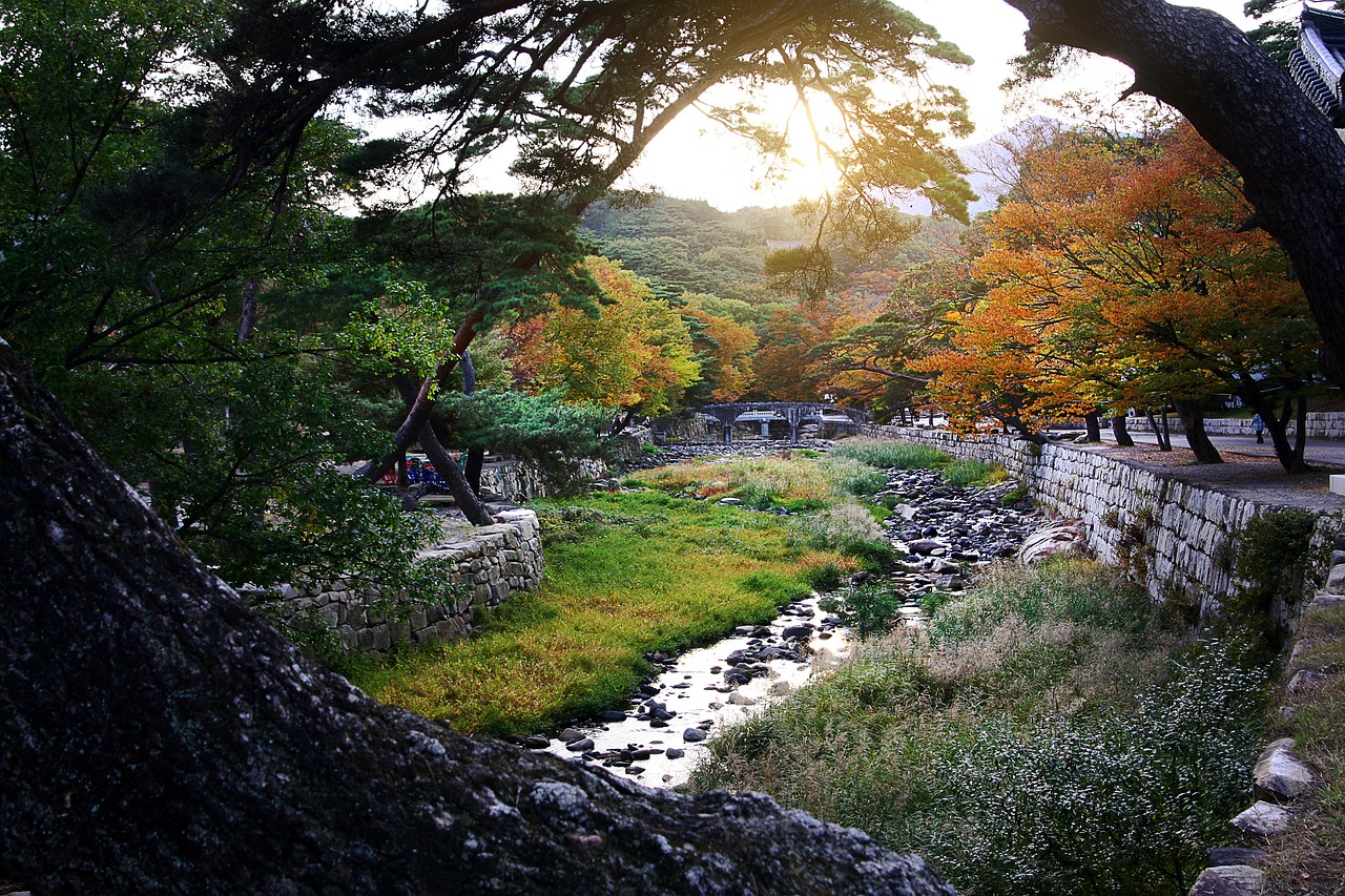 4-Day Adventure in Korea and Kyushu