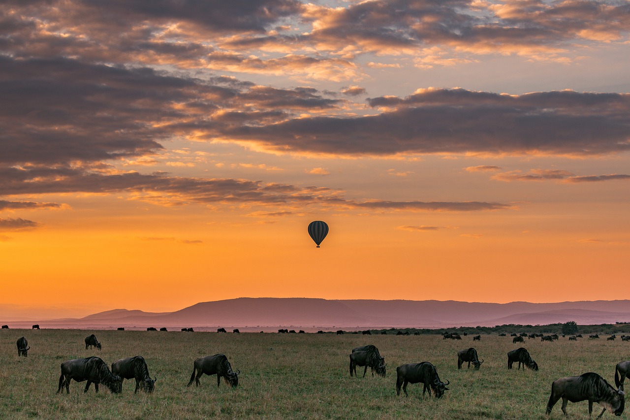 5-Day African Safari Adventure