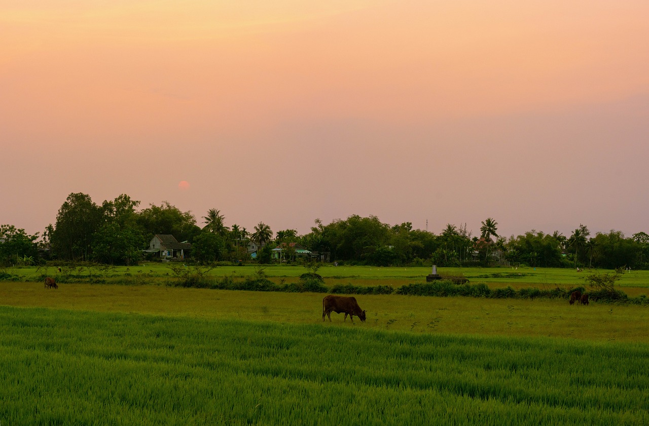 1-Day Cultural Exploration in Kota Bharu