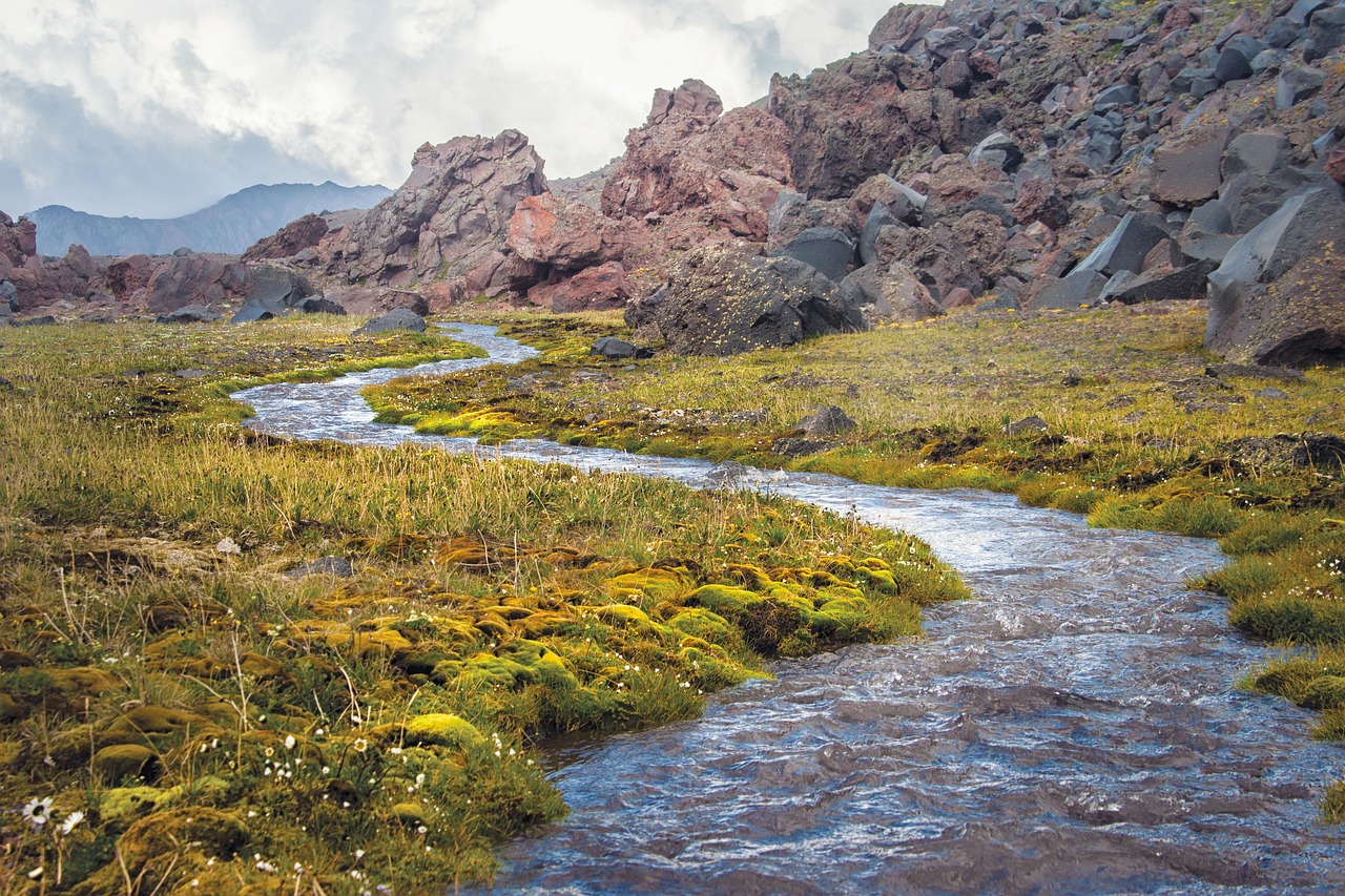 1-Day Adventure in Oirase Stream