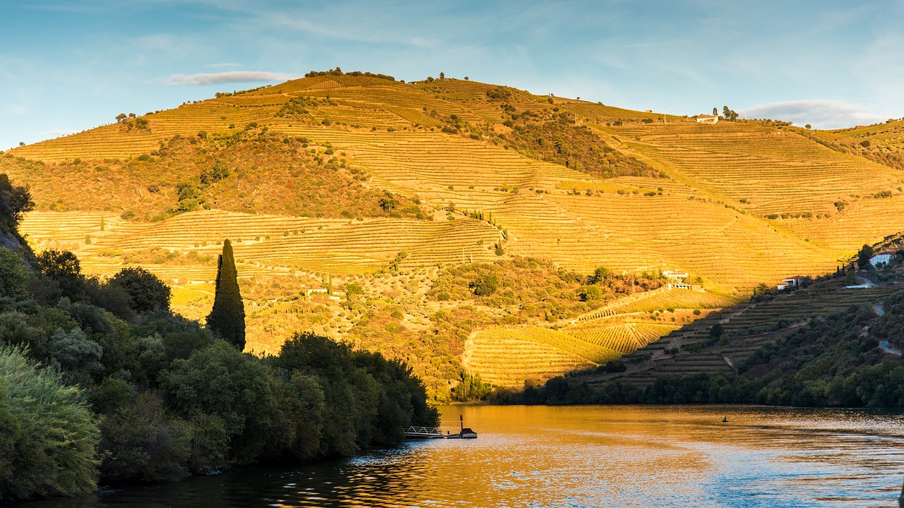 Douro and Custoias Adventure 2 Days