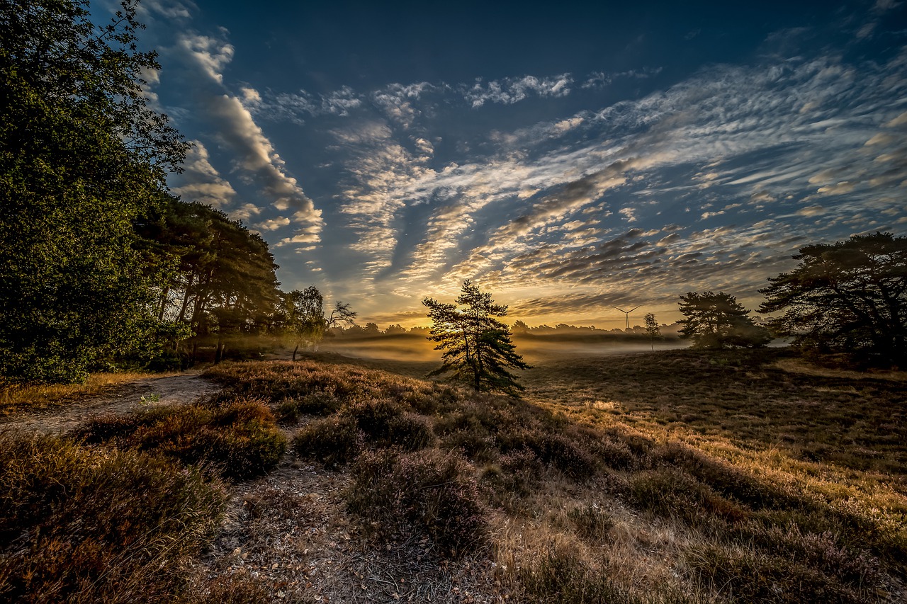 1-Day Adventure in Flackwell Heath