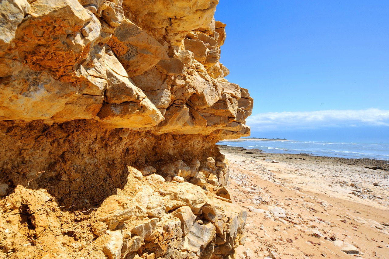 1 Day Adventure in Île de Ré