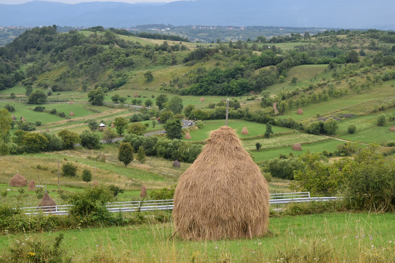 5 Days of Exploration in Tirgu Mures