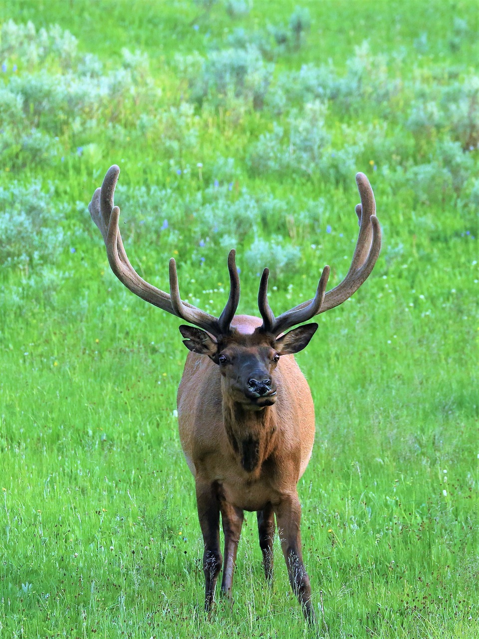 1-Day Adventure at Elk Neck State Park