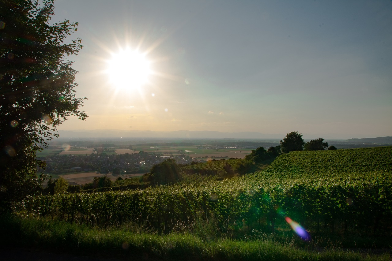 5 Days of Exploring Breisach and Beyond