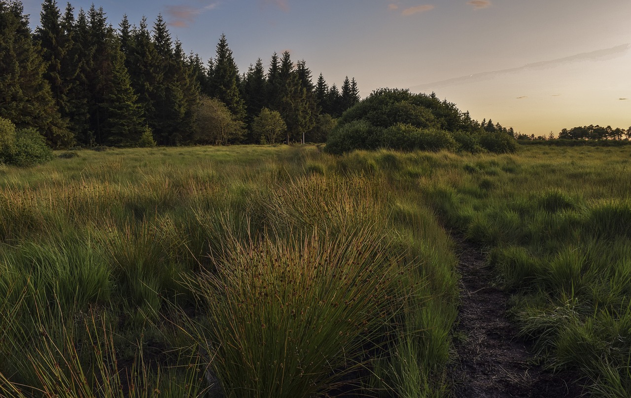 5-Day Adventure in North York Moors