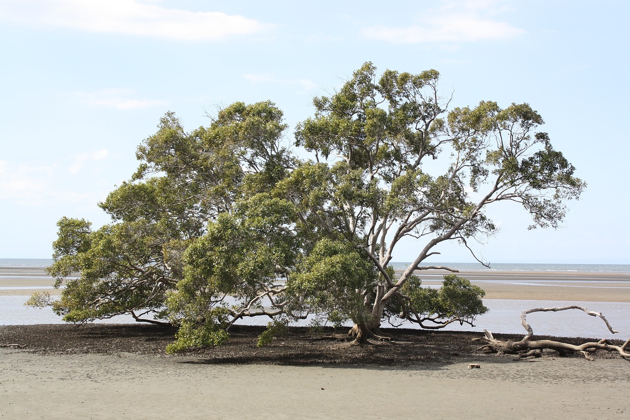 5 Days of Adventure in Moreton Bay Region