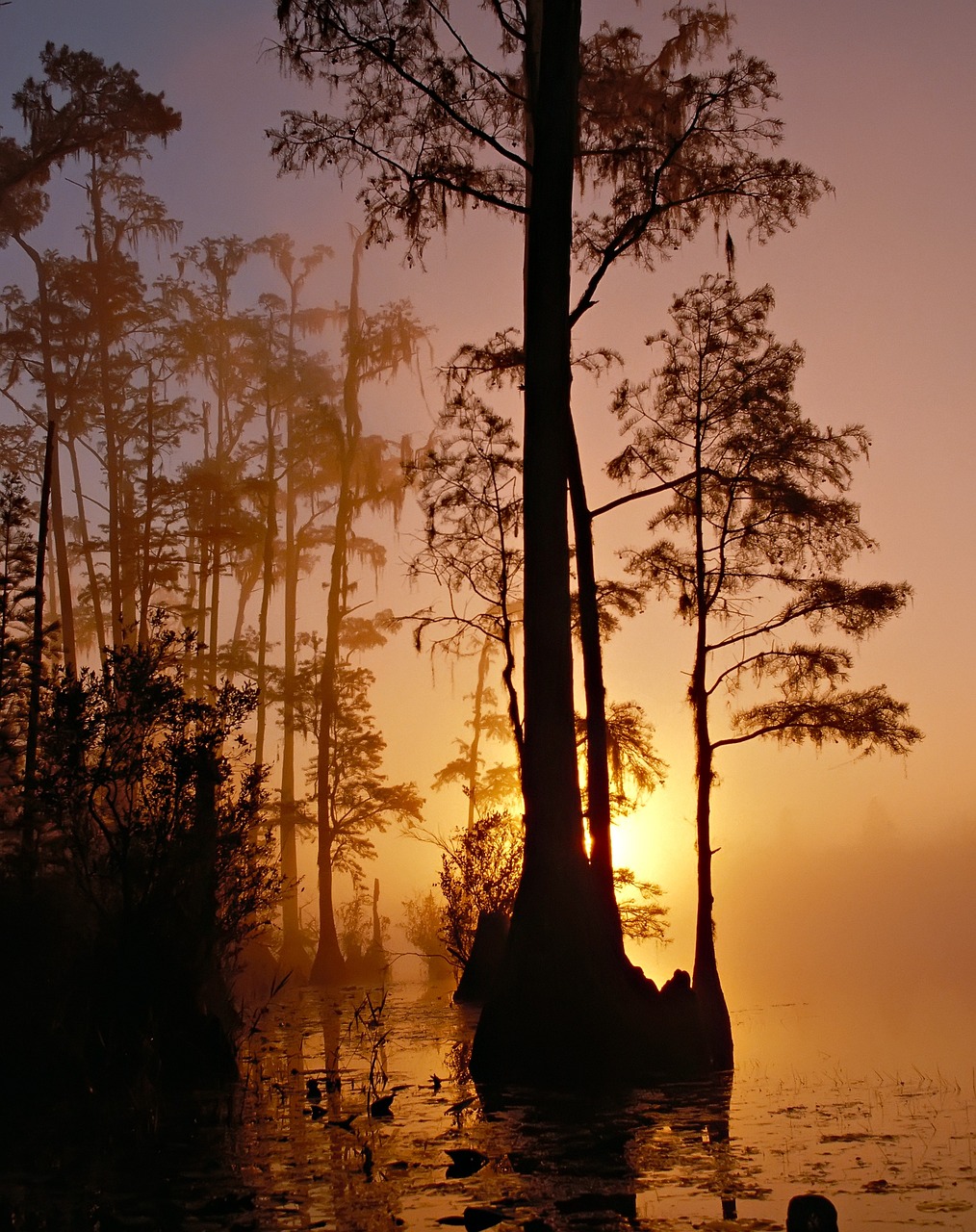 5-Day Adventure in Florida