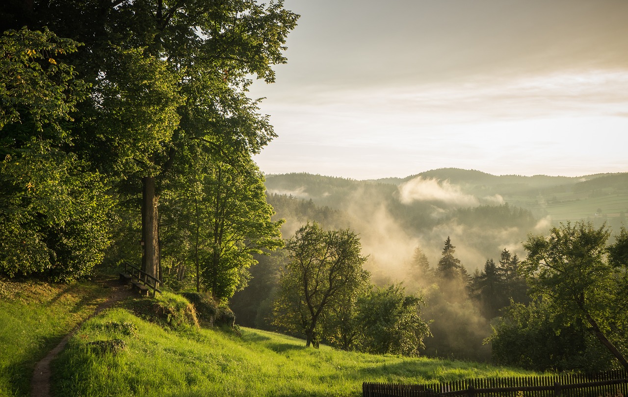 5-Day Adventure in Niederösterreich