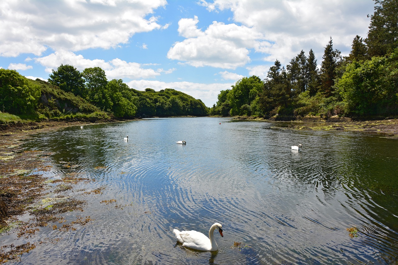 County Cork Adventure 5 Days