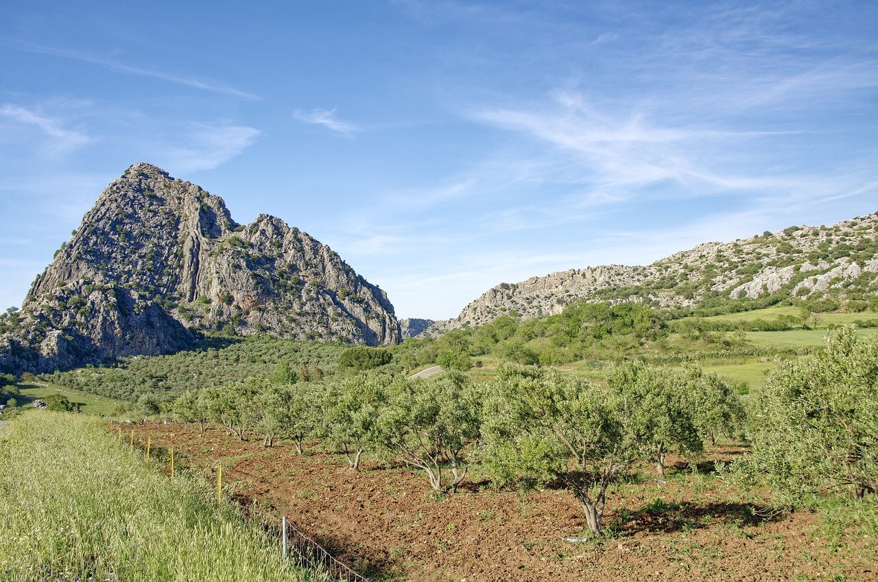 5 Days in Sierra de Grazalema