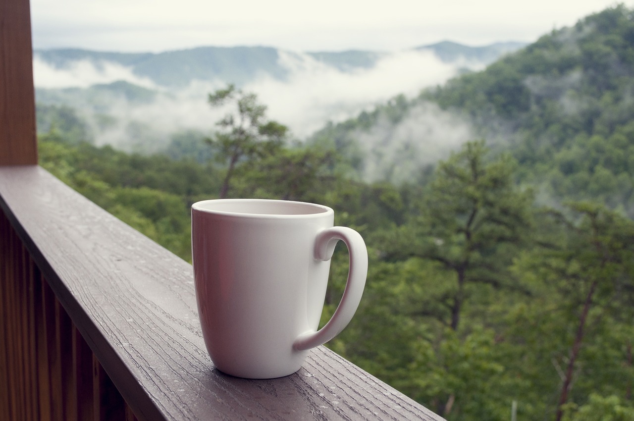 Exploring the Smoky Mountains